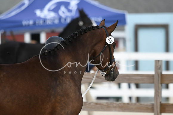 HSM_4907