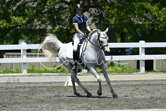 HSM_1607