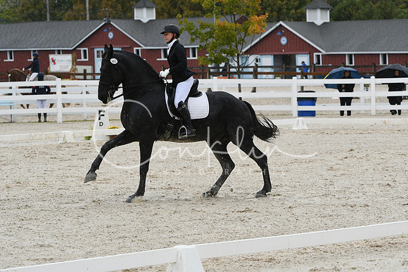 HSM_0433