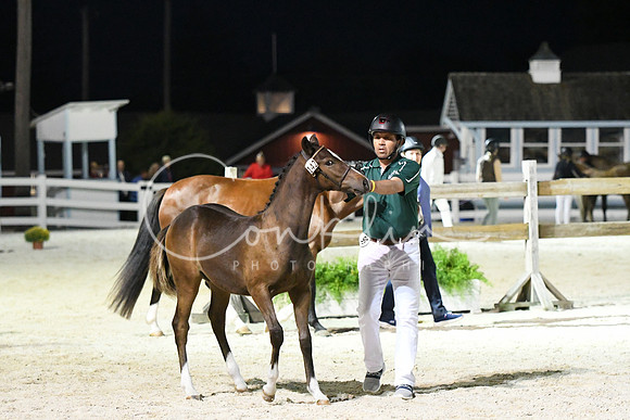 HSM_5848