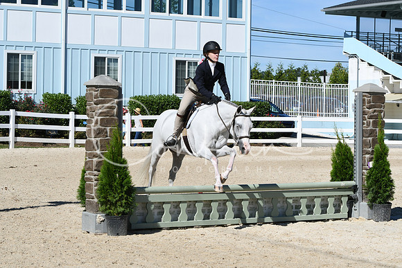 HSM_2595