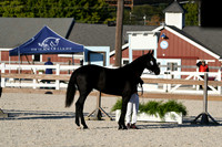 HSM_5578