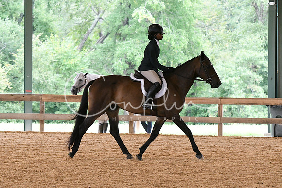 HSM_1653