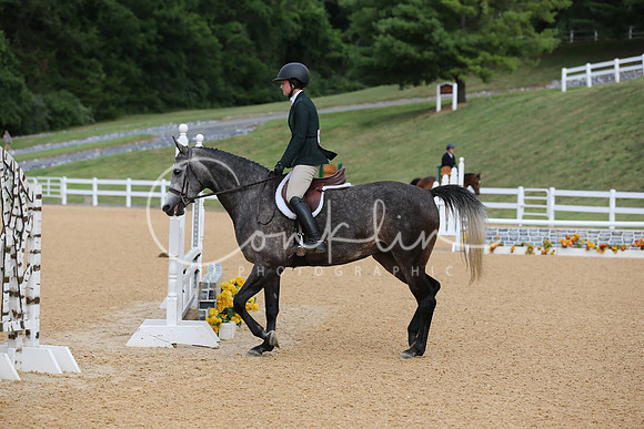SRCX8719