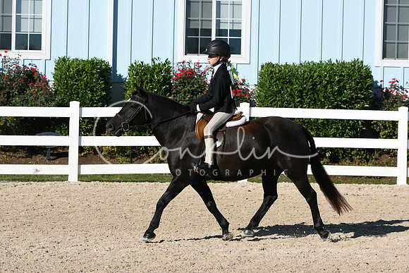 HSM_2091