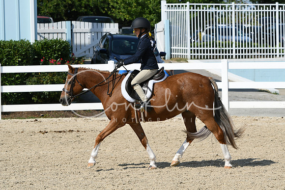 HSM_8274