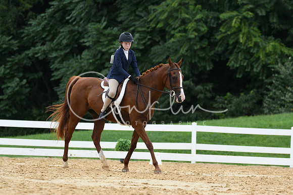 HSM_0028