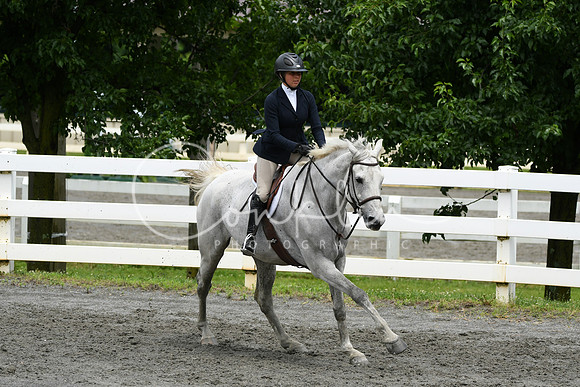 HSM_4019