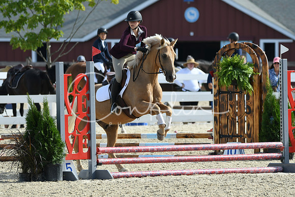 HSM_1662