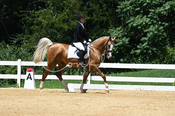 HSM_1376