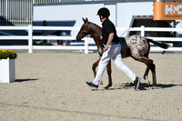 HSM_4380
