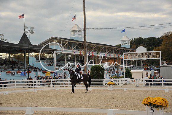 MBP_4835