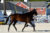 HSM_5435