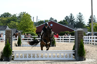 HSM_8164