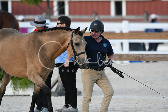 HSM_5663