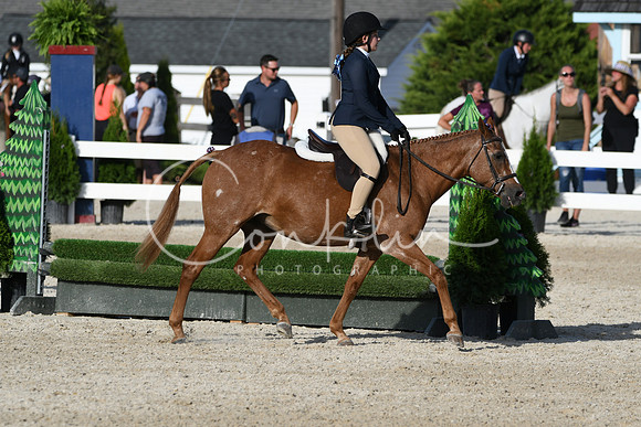 HSM_4374