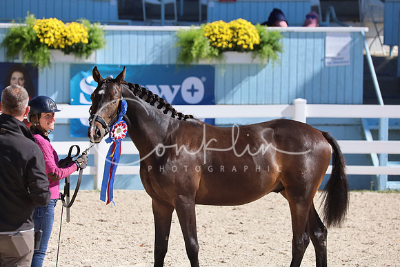 IMG_8573