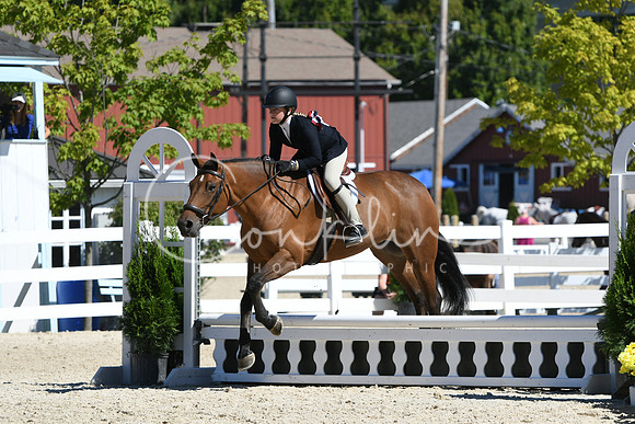 HSM_2749