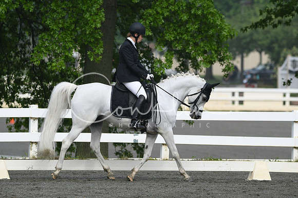HSM_0956