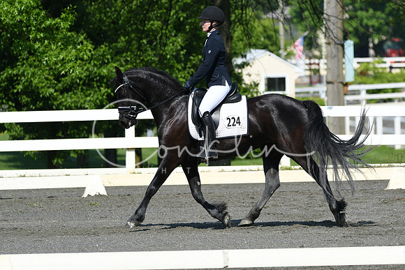 HSM_1148