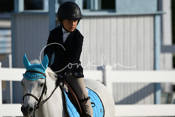 HSM_1198