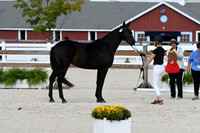 HSM_5153