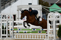 HSM_2909