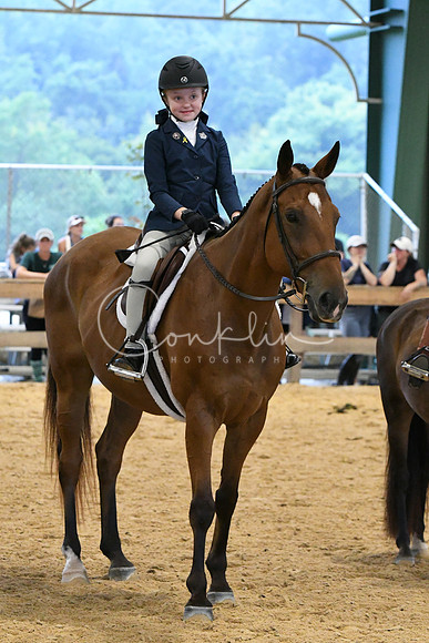 HSM_4163