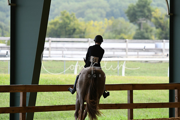 HSM_1199