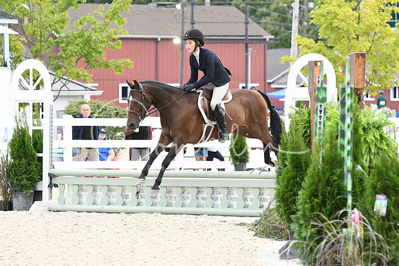 HSM_5117