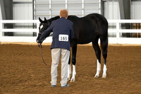 HSM_3722
