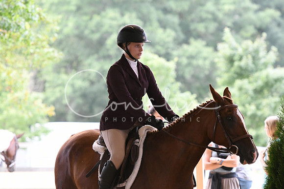 HSM_1378