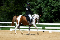 HSM_1313