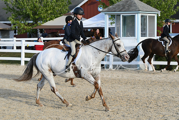 HSM_4592