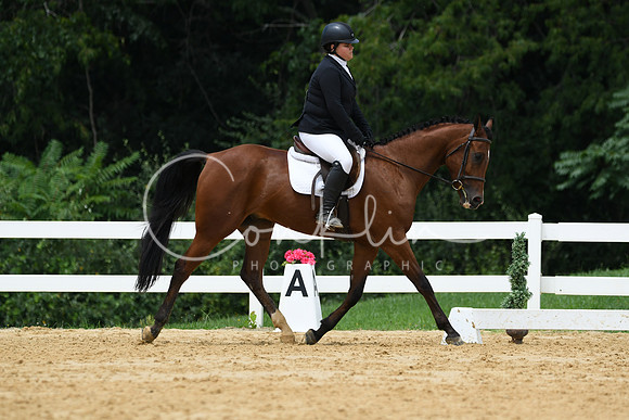 HSM_0487