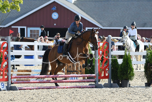 HSM_1410