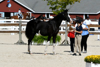 HSM_4931