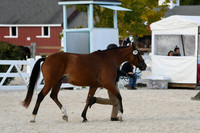 HSM_5474
