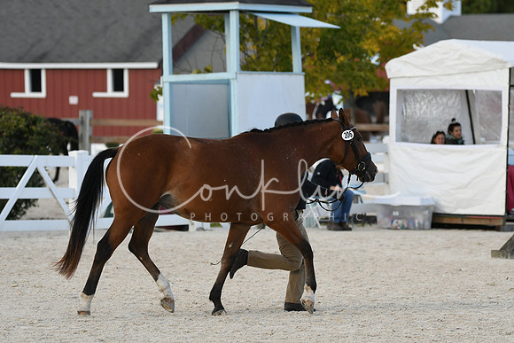 HSM_5474
