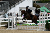 HSM_2218