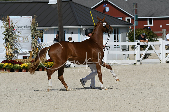 HSM_4882