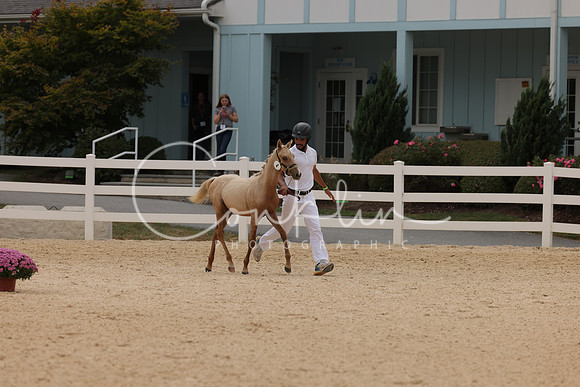 HLK_1099