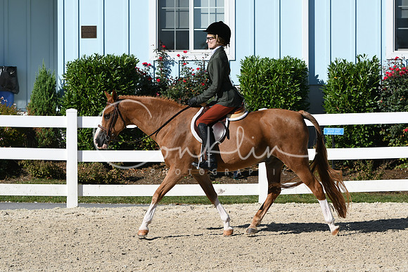 HSM_2293