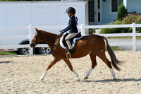 HSM_8245