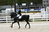 HSM_0418
