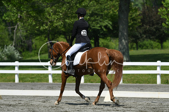 HSM_2242
