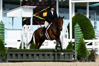 HSM_8191