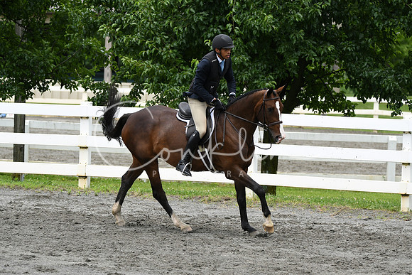 HSM_4124