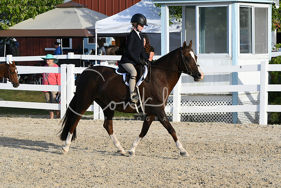 HSM_4553