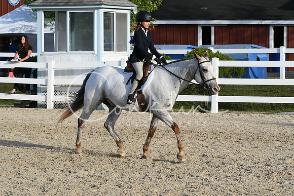 HSM_4549